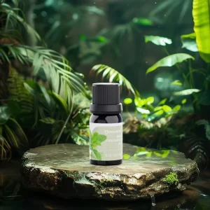 100% Pure Natural Essential Oil Set High Quality Top Grade Eco-Friendly 10ml Reed Diffuser Oil 11 Various Fragrances OEM ODM