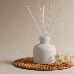 100ml 3.5oz Eco-Friendly White Porcelain Ceramic Reed Diffuser