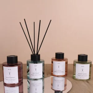 100ml Colorful Bottle Room Scent Reed Diffuser Set for Home Decor