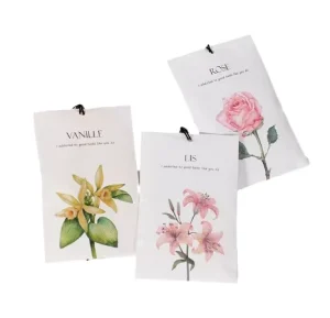 12 Packs Scented Sachets for Drawer and Closet Dehumidifier Bag