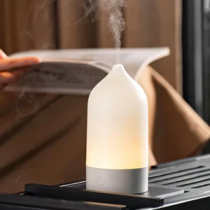 120ml Essential Oil Diffuser and Ultrasonic USB Air Humidifier with Colorful Night Light