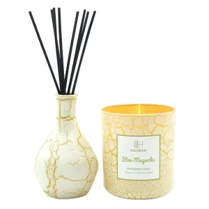 180ml Gold Lacquer Glass Reed Diffuser Set with Gift Bottle Manufacturer