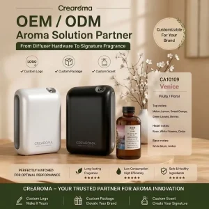 2026 Wall-Mounted Battery Waterless Aroma Diffuser with Bluetooth
