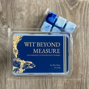 29 Custom Scented Soy Wax Melts Set of 6 Tart Melts Made From Soy Wax Beeswax or Vegetable Mixed Wax