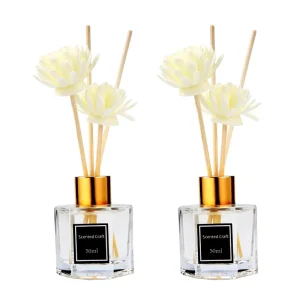 50ml 100ml Reed Diffuser Aromatherapy Glass Bottle with Scented Oil