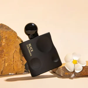 50ml Men’s Eau De Parfum Natural Long Lasting Spray OEM ODM Available Fruity Floral Scent