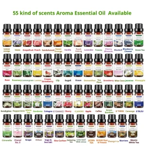 55 Kinds Flavors Water soluble Fragrance Oil Natural Aroma Essential Oils for Humidifier Diffuser for Stress Relief 10ml