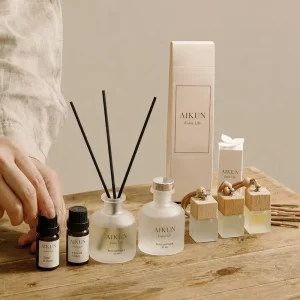 AIKUN Factory Custom Compact Frosted Glass Essential Oil Reed Diffuser Set for Home Bathroom Car Hotel