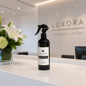 Apartment Entryway Fresh 300ML Black Bottle Refillable Spray Pump Pack Textile Care Retail Fabric Freshener