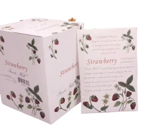 Best Selling Products Home Used air Freshener Promotional Paper Sachet Fragrance Scented Sachet