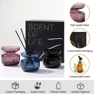 Blown Glass Bottle with Carbon Rod Reed Diffuser and Essential Oil Aroma