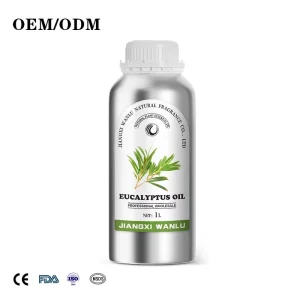 Bulk 100% Pure Eucalyptus Oil Top Grade OEM Natural Organic Eucalyptus