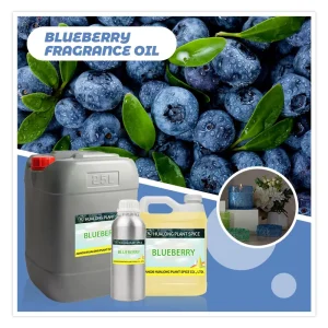 Bulk Natural Fruity Fragrance Oils Producer Concentrated Blueberry Oil for Scented Candle Making COSMETIC GRADE