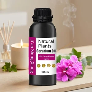 Bulk Premium Grade Rose Geranium Essential Oil 100% Pure Natural Nourishing Firming Body Oil for Spa Massage Essential Oils