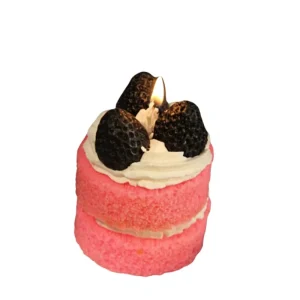 Cake Black Aromatherapy Candle Birthday Gift Handmade Soybean Wax Artificial Fruit Shape Bedroom Accompanying