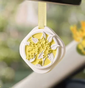 Car Odor Eliminator Hanging Solid Fragrance Tablet Long Lasting Natural Plaster Diffuser for Wardrobe