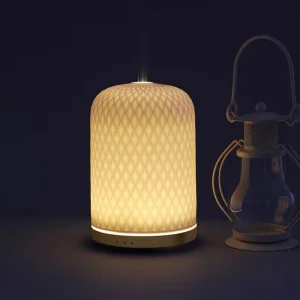 Ceramic Ultrasonic Essential Oil Aroma Diffuser with Timer, Plug-In Ambient Lamp for Home, Hotel, and Bedside Use