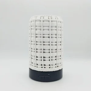 Ceramic Ultrasonic Essential Oil Diffuser with Custom Color LED Mood Light and Humidifier