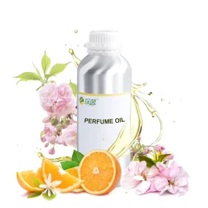 Charming Famous Brand Designer Perfume Oil Fragrance Pure Long Lasting Spray Perfume and Fragrance Perfume Low Price