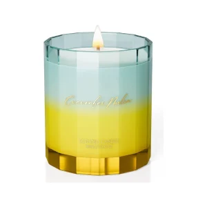 Classic Scented Candle Soy Wax Non Toxic Highly Scented Freshing for Summer Holiday Gifts Aromatherapy Valentine’s Day Glass Jar