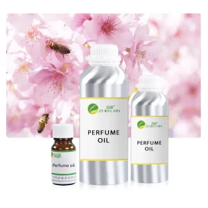 Concentrated Perfume Oils Fragrance Essential Oil for Cosmetics Products Body Mist Room Spray Designer Fragrance Oil Brand Scent