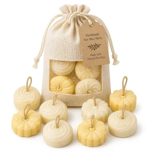 Cookie Shaped 10 Pack Wax Melts Silicone Mold DIY Soy Wax Aroma Mold for Scented Candle Soap Resin Gift Set