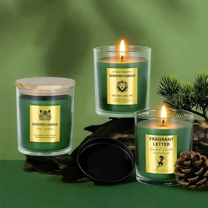 Creative Glass Cup Cylindrical Soy Wax Smoke Free Fragrance Birthday Candle Handmade Aono Candle Cross Border Foreign Trade