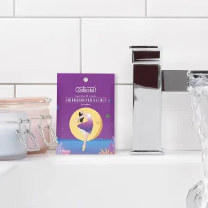 Custom 10g Air Freshener Fragrance Sachet Bag Multi Purpose Household Chemicals for Car Hanging