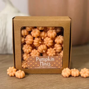 Custom 3D Mini Pumpkin Shape Soy Wax Melts Strong Scented Wax Melt Tablets with Box