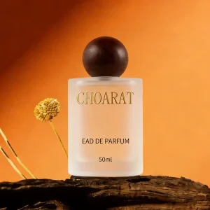 Custom 50ml 100ml Frosted Glass Spray Perfume Bottle Luxury Flat Square Men Perfume Pump Bottles with Ball Cap