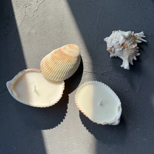 Custom Aromatherapy Scented Luxury Candles With Sea Shells