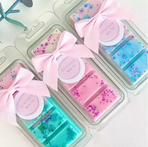 Custom Aromatherapy Scented Wax Melts Air Freshener Home Stylish Scented Wax Cube Melts