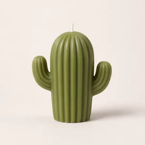 Custom Cactus Shaped Soy Blend Scented Candle for Home Decoration Mother’s Day & Christmas Gift