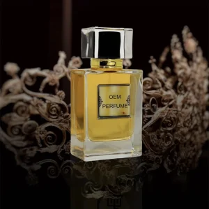Custom Cologne for Men Perfume Arabic Oud Perfume Long Lasting Expensive Perfume Oil in Dubai
