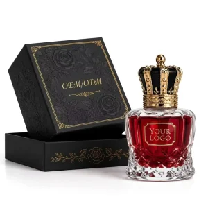 Custom Fragrance OEM Factory for Small Business Brand Unisex Parfum OriginalPrivate Label Perfume Low MOQ Body Fragrance
