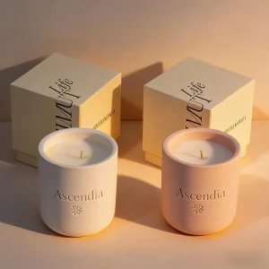 Custom Logo Ceramic Jar Scented Candle Luxury Soy Wax Aromatherapy Candle Gift Set with Box for Home Decoration