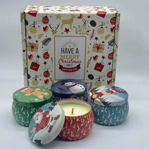 Custom Luxury Private Label Soy Wax Coconut Wax Palm Wax Beeswax Crystal Infused Gem Scented Handmade Candles Dry Flowers Fruit