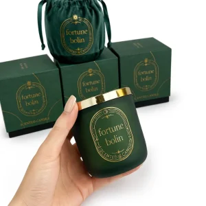 Custom Private Label Home Decor Luxury Aromatic Bean Wax Glass Jars Scented Long lasting Handmade Aromatherapy Candle