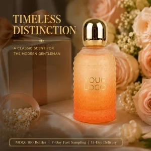 Customizable Unisex Perfume Spray 100ml EDP Long Lasting 8 hour Eco Friendly Private Label Cologne Set with Musk Aroma
