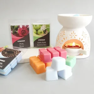 Customized Clam Shells 6 Cell High Fragrance Lavender Jasmine Mango Berries Sandalwood Scented Wax Melts Cubes Blocks