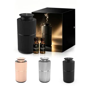 Customized Mini USB Rechargeable Nano Mist Waterless Essential Oil Diffuser for Car and Home