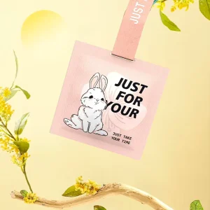 Customized Scented Wardrobe Sachet Bags Fragrance Sachet Bag for Car