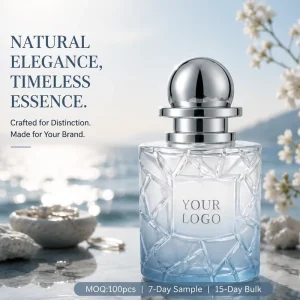 Customizing Summer Scent Pure Perfume Blue Bottle Private Label 100ml EDP Persistent Aroma Non Toxic Parfum OEM ODM