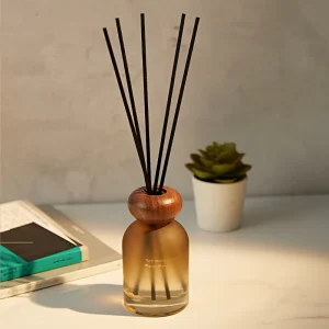 Decorative Ocean Reed Diffuser with Rattan Sticks Air Freshener