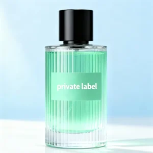 Designer Women’s Luxury Eau De Parfum Cologne Eco Friendly Long Lasting Spray Customizable Scent Arabic Perfume
