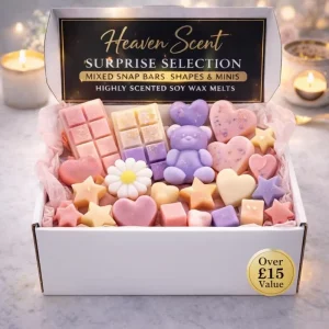 Discovery Wax Melt Bundle Surprise Selection Wax Melts Highly Scented Long Lasting Soy Wax Melts Vegan Wax Melts Snap bar