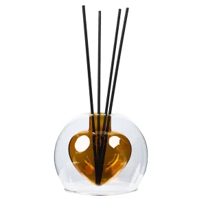 Double-Wall Borosilicate Glass Reed Diffuser Fragrance Bottles for Home