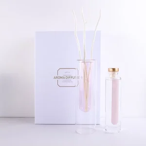 Double Wall Cylinder Clear Glass Reed Diffuser Bottle with Sticks and Essential Oil