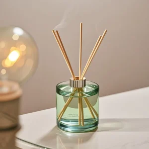 Double Wall Glass Reed Diffuser Set with Rattan Sticks for Hotel and Home Fragrance Supplies