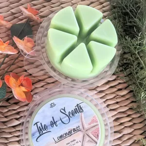 Eco Friendly Clamshells Blister Wax Melt Packaging Candle Plastic Packaging